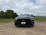 2019 Mustang Thumbnail 2