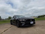 2019 Mustang Thumbnail 3