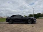 2019 Mustang Thumbnail 4