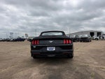 2019 Mustang Thumbnail 6