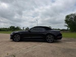 2019 Mustang Thumbnail 8