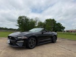 2019 Mustang Thumbnail 9