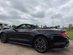 2019 Mustang Thumbnail 10