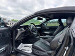 2019 Mustang Thumbnail 11
