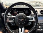 2019 Mustang Thumbnail 13