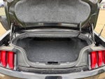2019 Mustang Thumbnail 18
