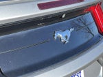 2020 Mustang Thumbnail 27