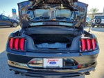 2020 Mustang Thumbnail 9