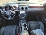 2020 Mustang Thumbnail 14