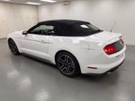2021 Mustang Thumbnail 3
