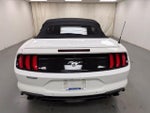2021 Mustang Thumbnail 4