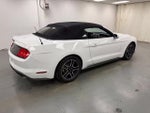 2021 Mustang Thumbnail 5