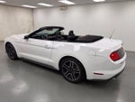 2021 Mustang Thumbnail 9