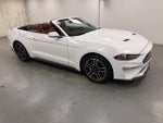 2021 Mustang Thumbnail 12