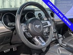 2021 Mustang Thumbnail 29