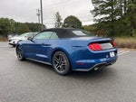 2023 Mustang Thumbnail 7