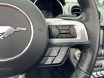 2023 Mustang Thumbnail 21