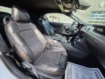 2023 Mustang Thumbnail 16