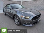 2016 Mustang Thumbnail 1