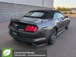 2016 Mustang Thumbnail 3