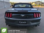 2016 Mustang Thumbnail 4