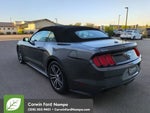 2016 Mustang Thumbnail 5