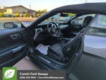 2016 Mustang Thumbnail 9