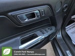 2016 Mustang Thumbnail 11