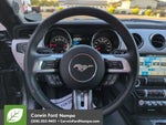 2016 Mustang Thumbnail 14