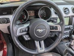 2017 Mustang Thumbnail 18