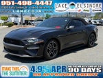 2018 Mustang Thumbnail 1