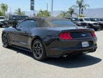 2018 Mustang Thumbnail 2