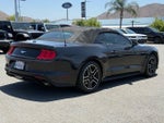 2018 Mustang Thumbnail 3