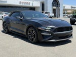 2018 Mustang Thumbnail 4