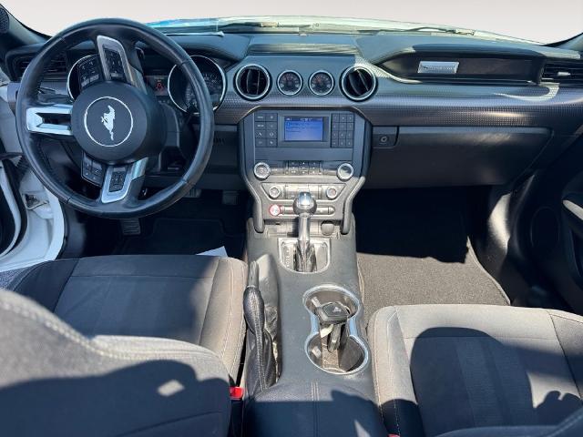 2019 Ford Mustang - $14,983