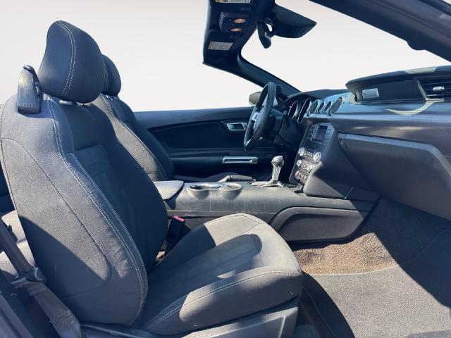 2019 Ford Mustang - $14,983