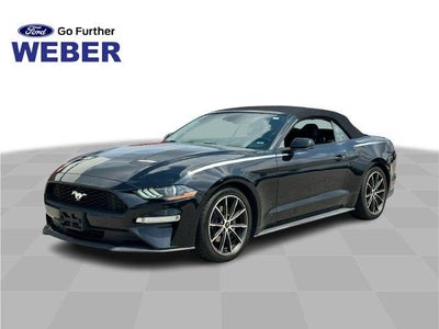 Photo of a 2019 Ford Mustang Ecoboost Premium 2DR Convertible for sale