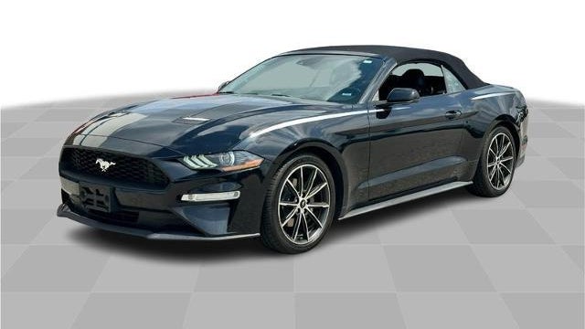 Preowned 2019 Ford Mustang EcoBoost for Sale