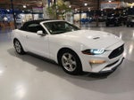 2019 Mustang Thumbnail 1