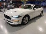 2019 Mustang Thumbnail 7
