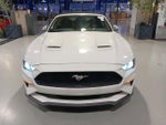 2019 Mustang Thumbnail 8