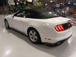 2019 Mustang Thumbnail 12