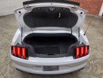2019 Mustang Thumbnail 25