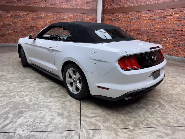 2019 Ford Mustang - $18,510
