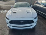 2019 Mustang Thumbnail 2