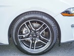 2019 Mustang Thumbnail 7
