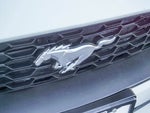 2019 Mustang Thumbnail 9