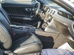 2019 Mustang Thumbnail 10