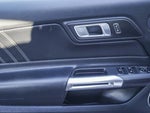 2019 Mustang Thumbnail 15