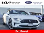 2019 Mustang Thumbnail 25